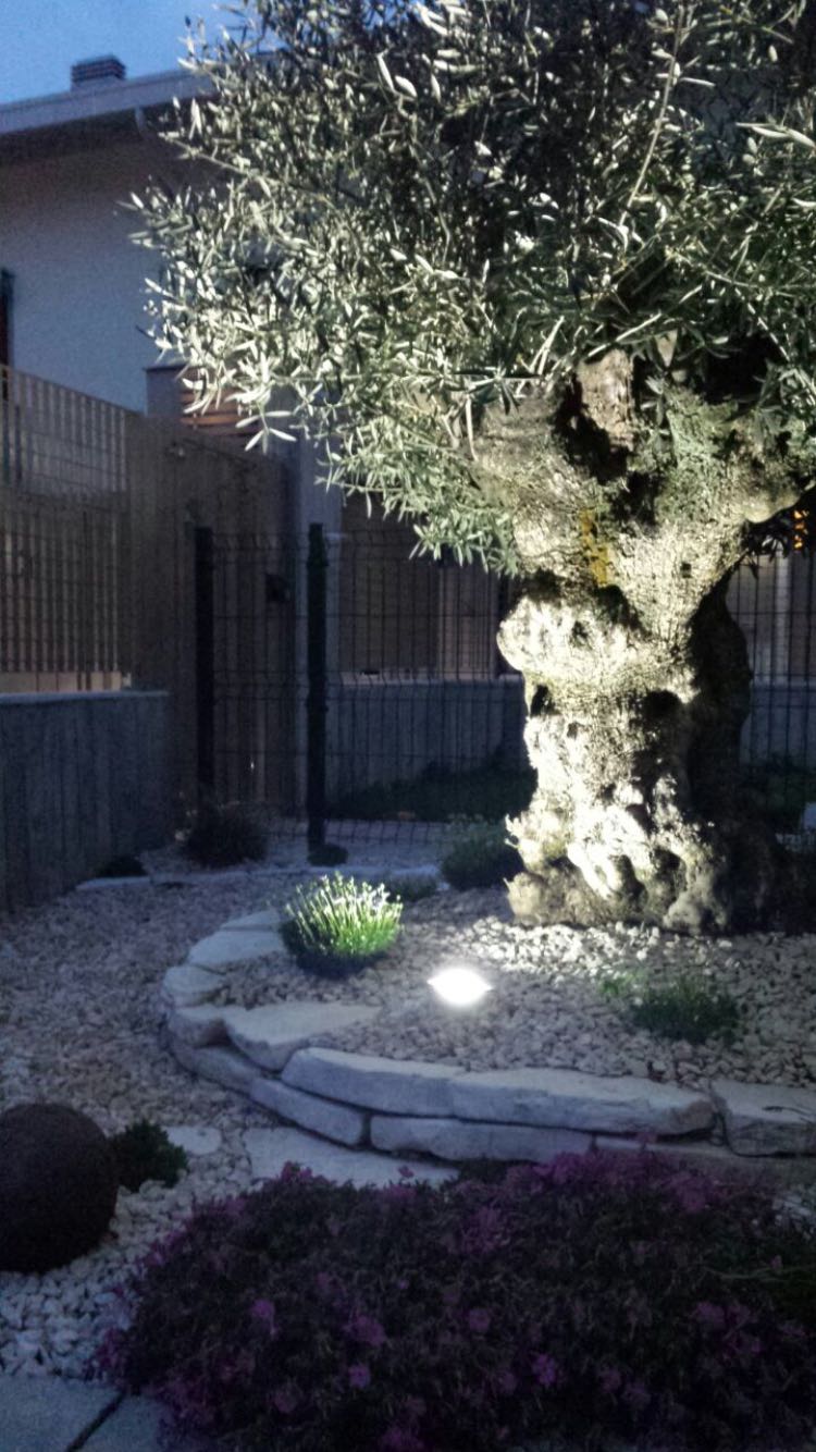 REALIZZAZIONE GIARDINI